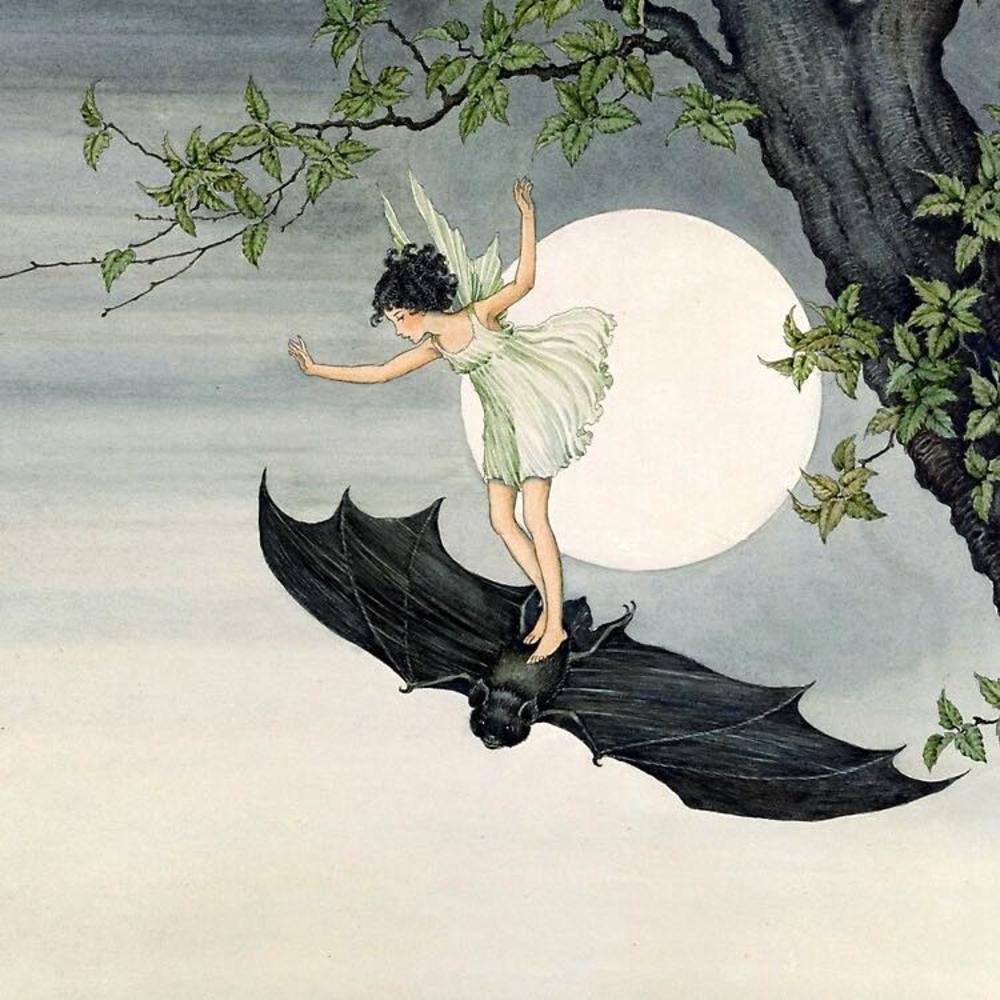 Meet your Posher, Ester